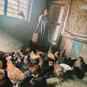 pashu sanvardhan kankavli (2)