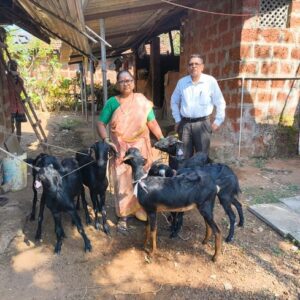 pashu sanvardhan kankavli (3)