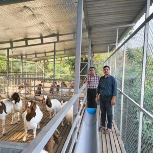 pashu sanvardhan kankavli (6)