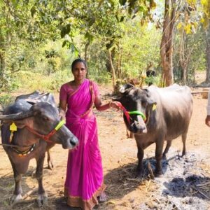 pashu sanvardhan kankavli (8)